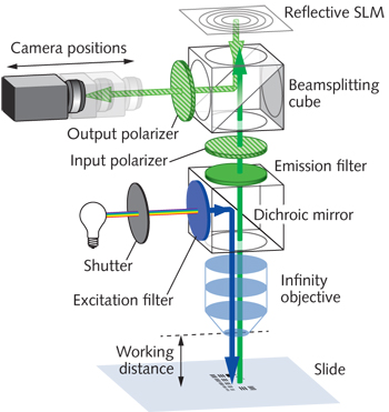 FINCH microscope configuration for holographic imaging